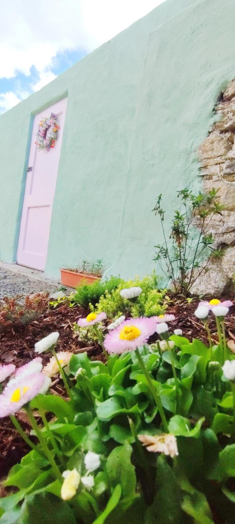 Unboring Holiday Let, Ballina, Mayo Ballina (Mayo) Exterior foto